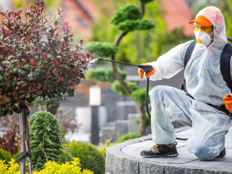 Evciler Haşere İlaçlama